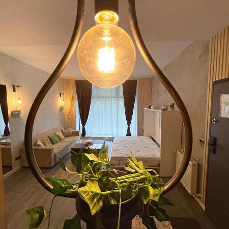 Mat Rent Poiana Brasov 아파트 외부 사진